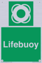 lifebuoy-with-symbol~